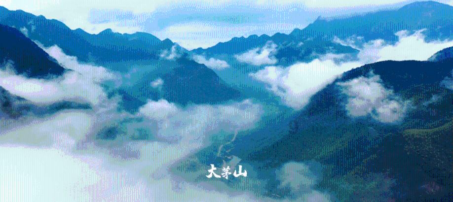 非洲驻华使节参观中国考古博物馆并座谈